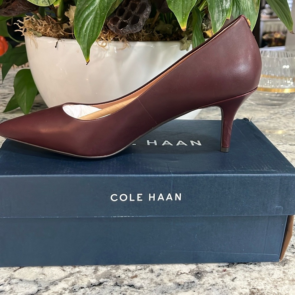 Cole Haan Ladies 8.5M GOTO Park Pump 65MM Bloodstone Leather